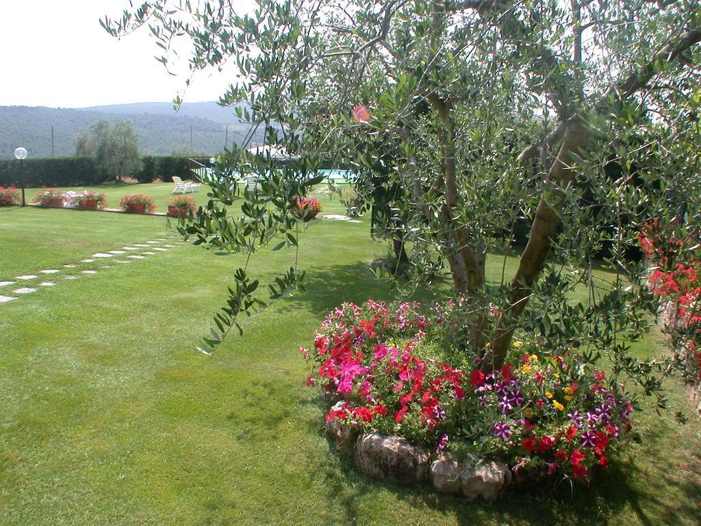 Agriturismo Arnano Совичиле Екстериор снимка